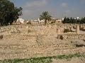 El Jem, mzeum satsi terlete