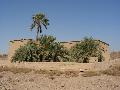 Dendera, Hathor temploma, eltrben a szent t